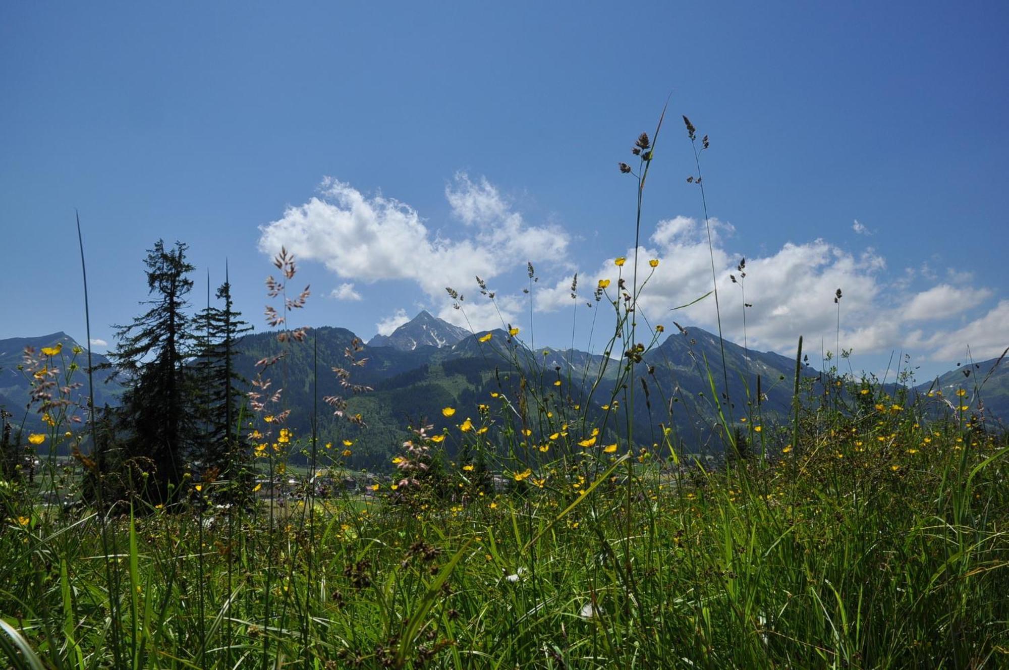 Landhaus Alpensonne Schattwald Exterior foto